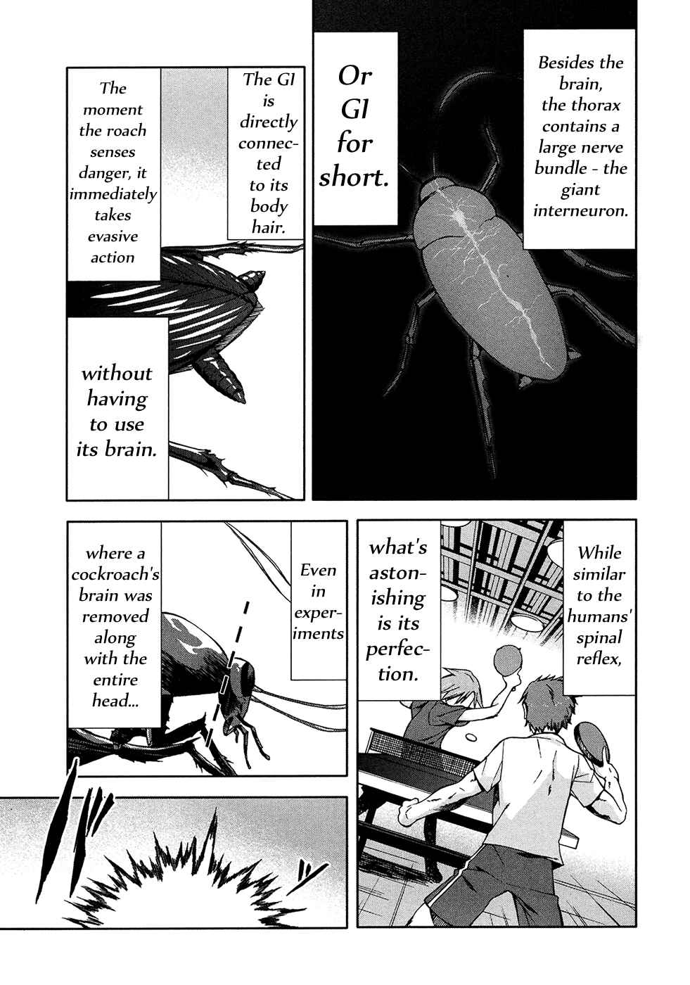 Page 19 Chapter 34 Arachnid