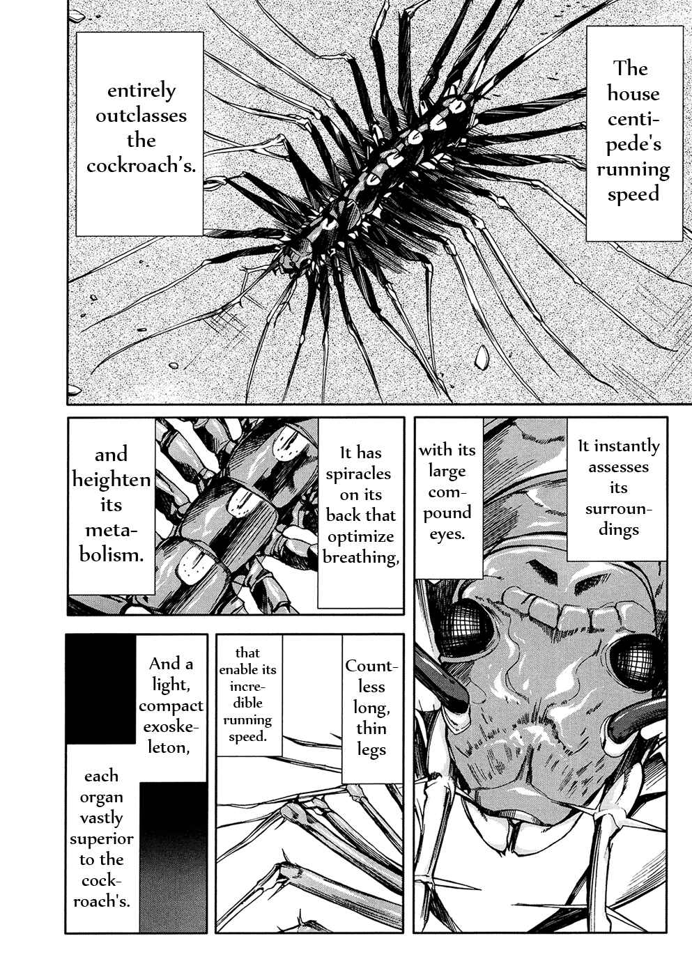 Page 4 Chapter 34 Arachnid