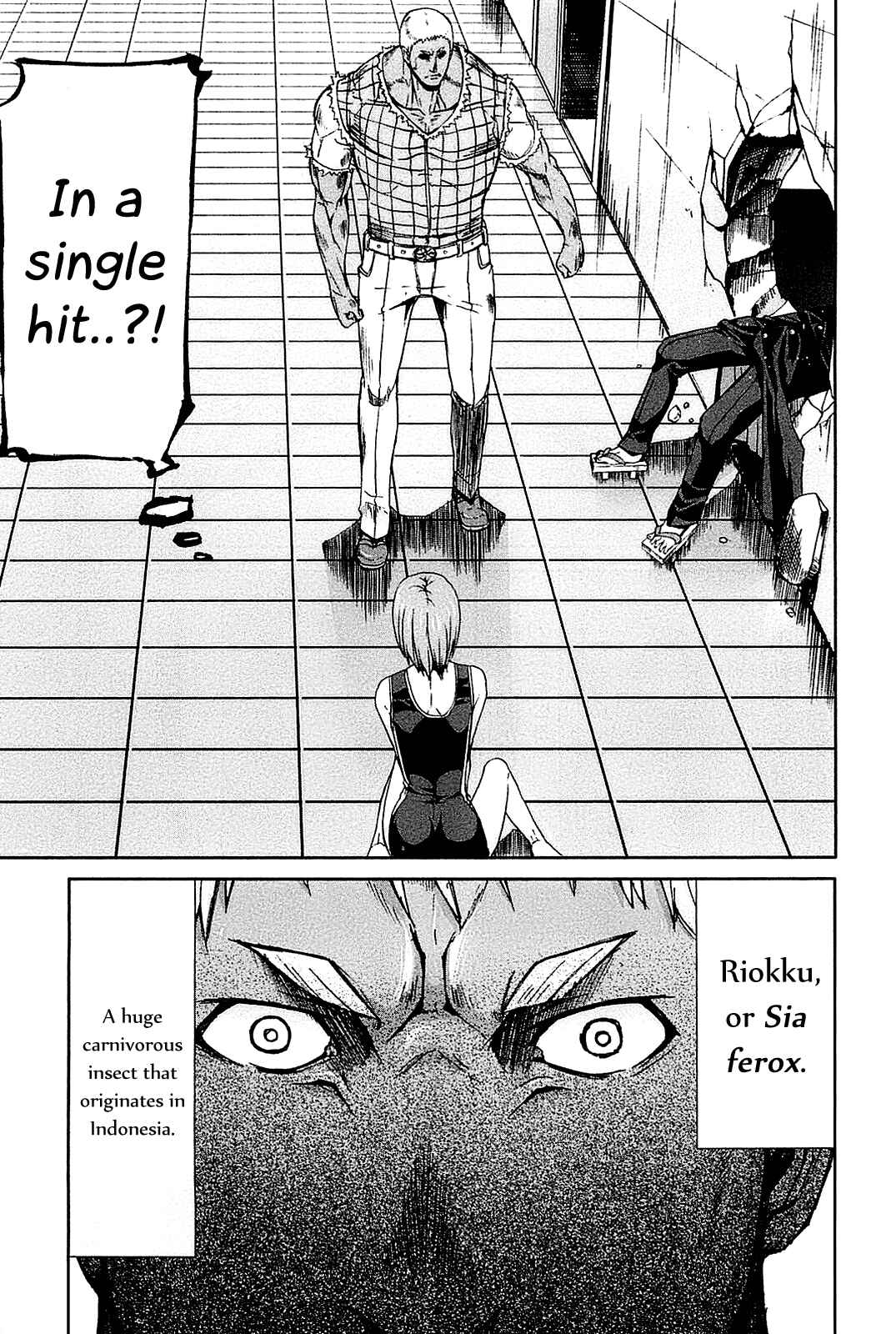 Page 18 Chapter 22 Arachnid
