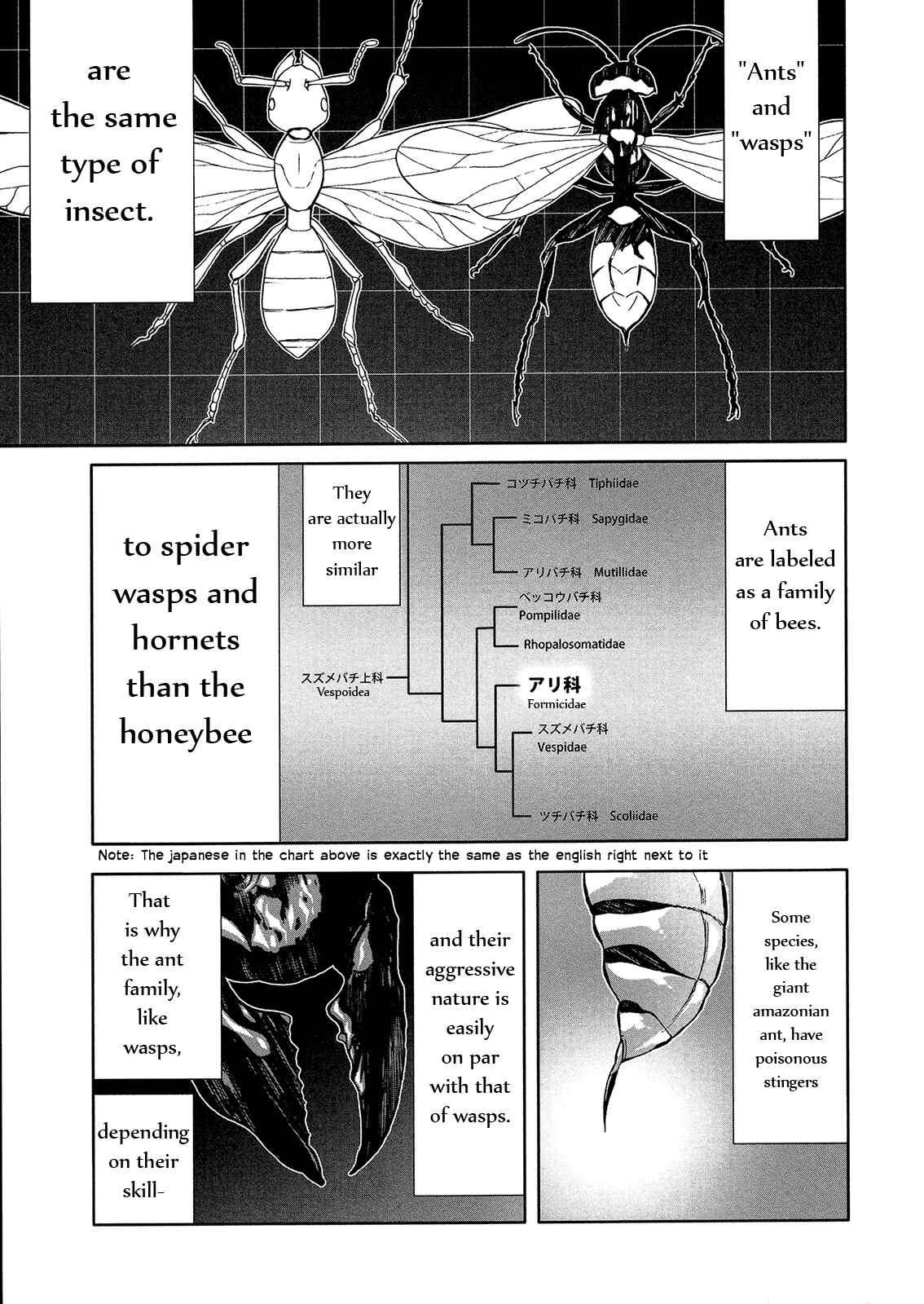 Page 13 Chapter 46 Arachnid