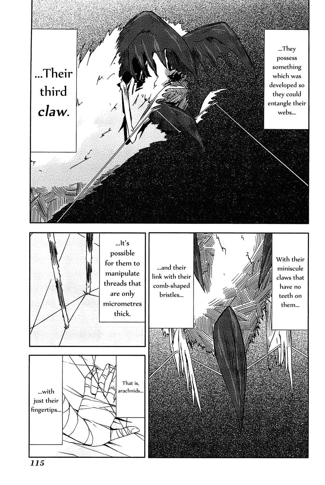 Page 20 Chapter 8 Arachnid