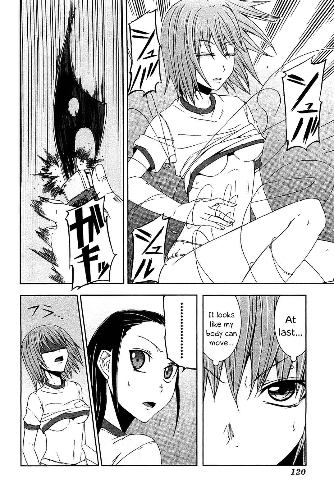 Page 25 Chapter 8 Arachnid