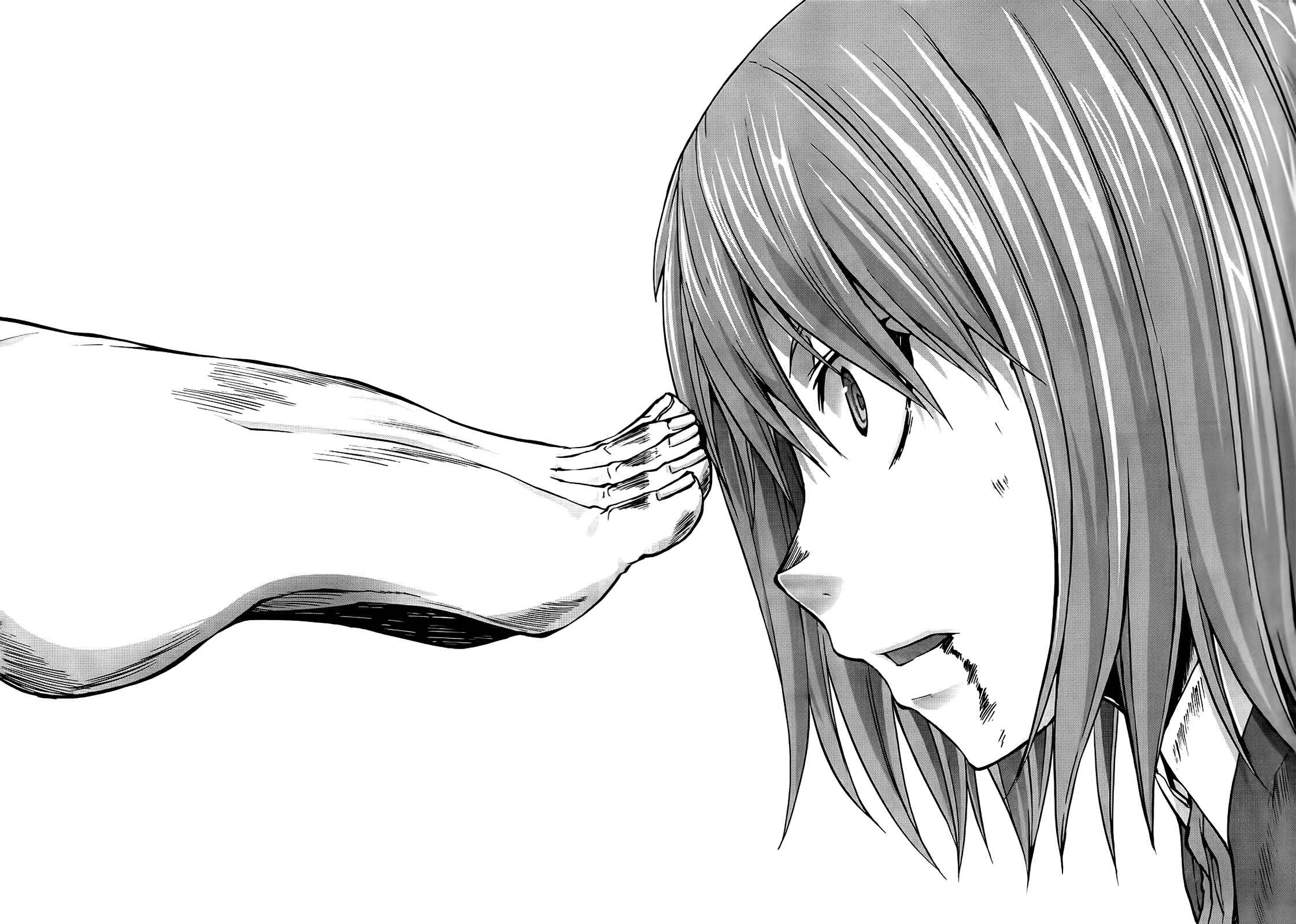 Page 8 Chapter 15 Arachnid