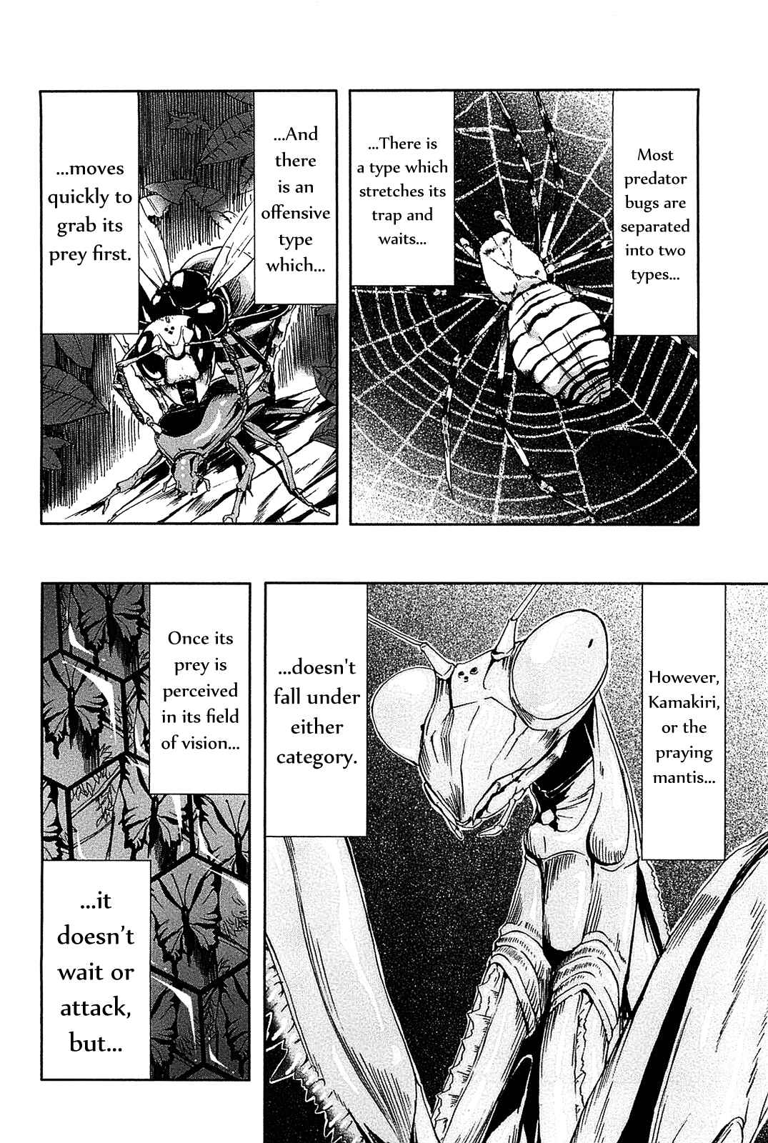 Page 35 Chapter 6 Arachnid
