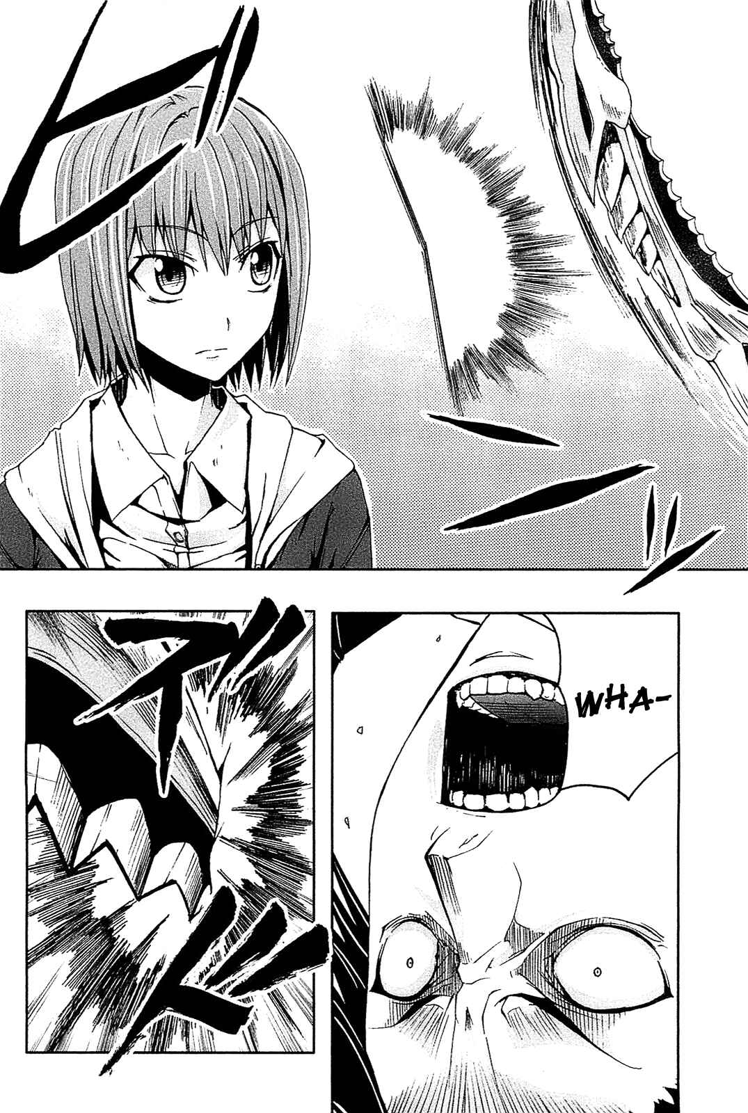 Page 49 Chapter 6 Arachnid