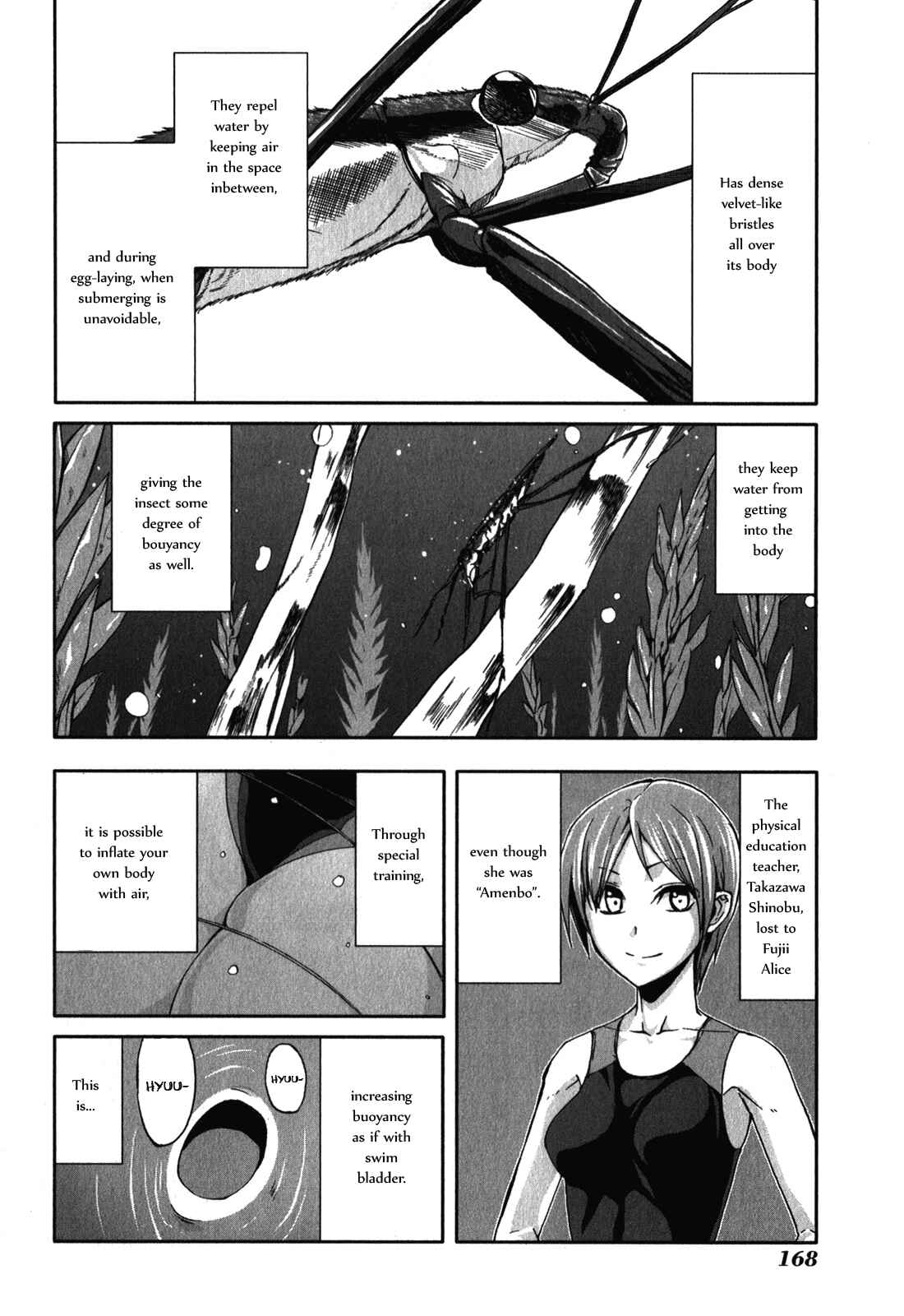 Page 22 Chapter 30 Arachnid