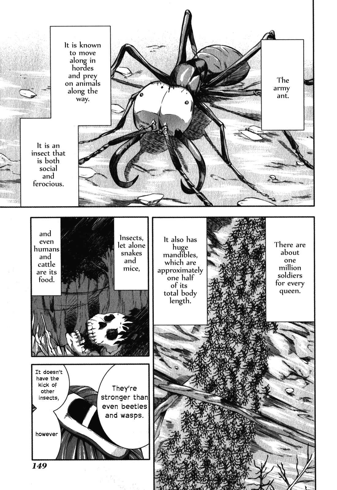 Page 3 Chapter 30 Arachnid