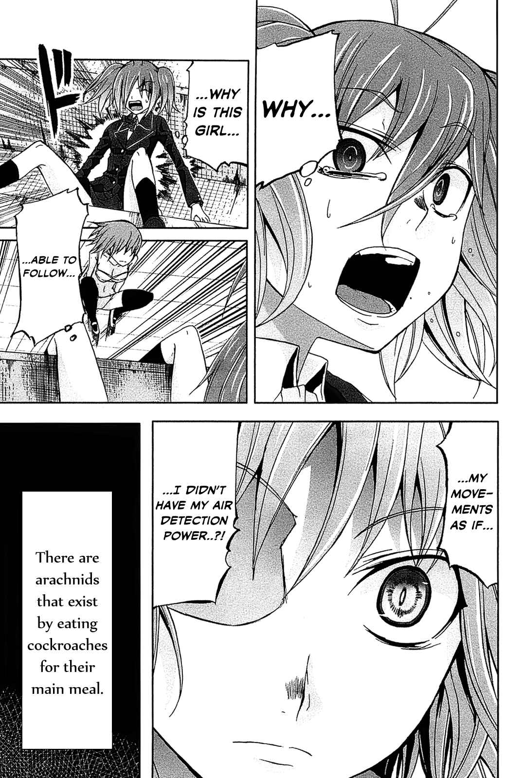 Page 21 Chapter 10 Arachnid