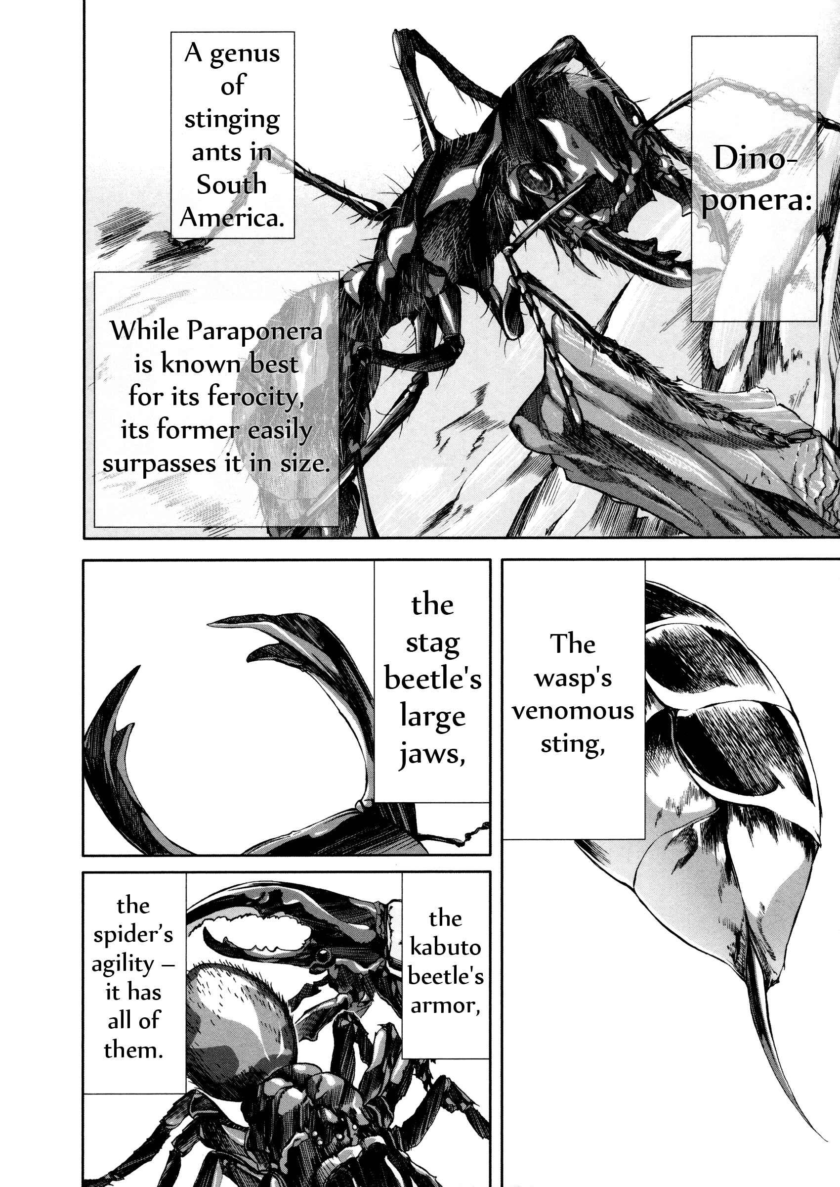 Page 23 Chapter 36 Arachnid