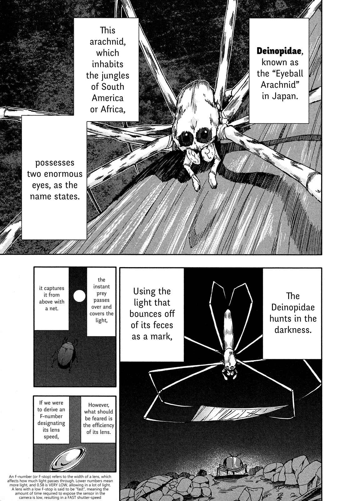 Page 28 Chapter 70 Arachnid