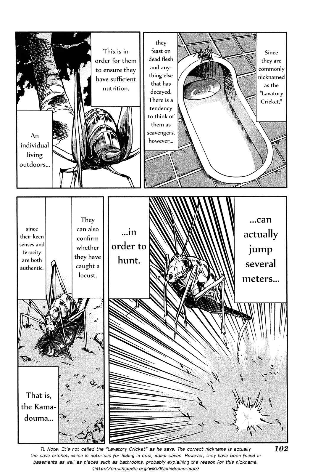 Page 27 Chapter 13 Arachnid