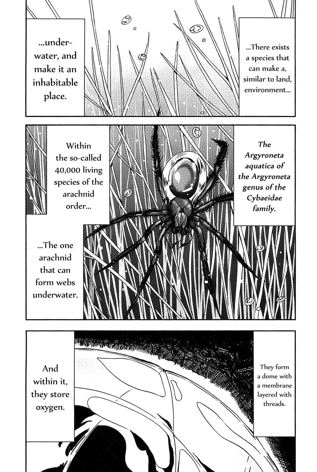 Page 13 Chapter 20 Arachnid