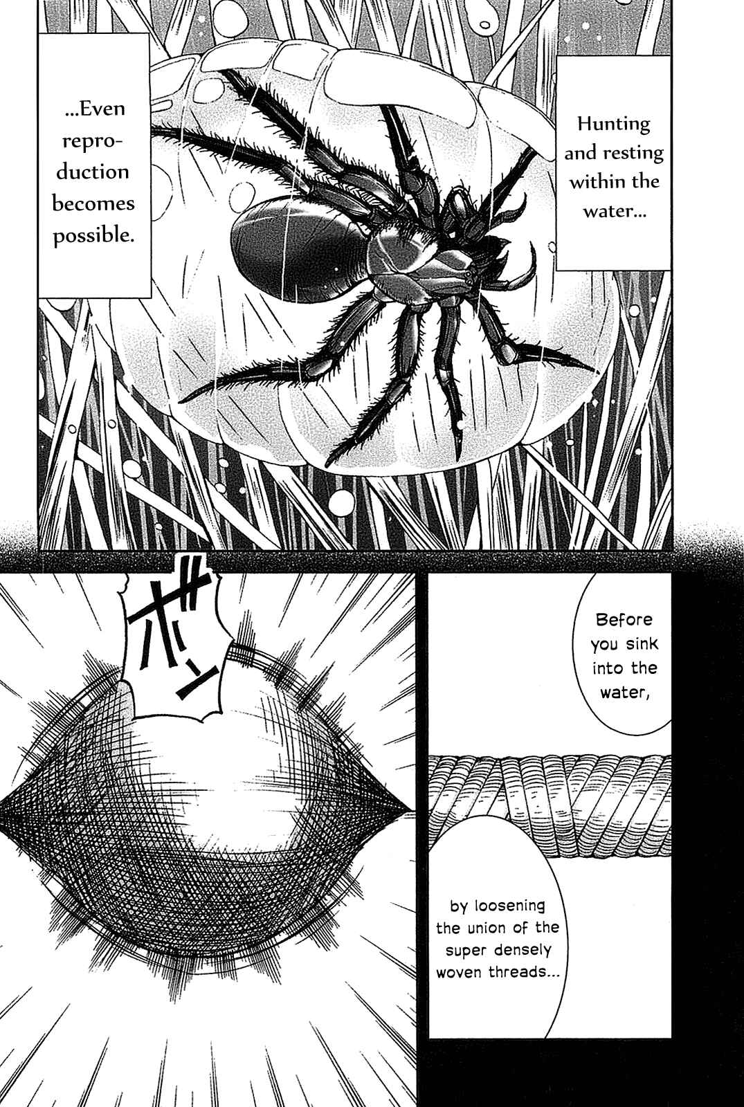 Page 14 Chapter 20 Arachnid