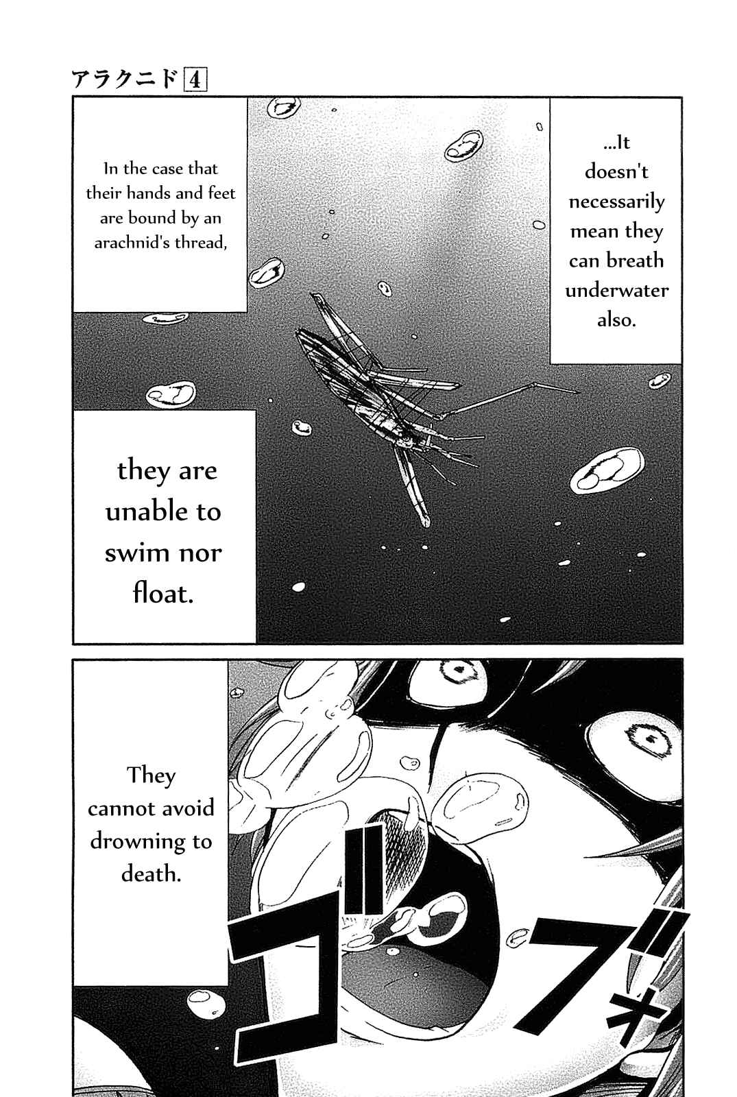 Page 18 Chapter 20 Arachnid
