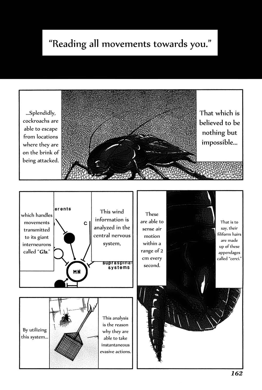 Page 30 Chapter 9 Arachnid