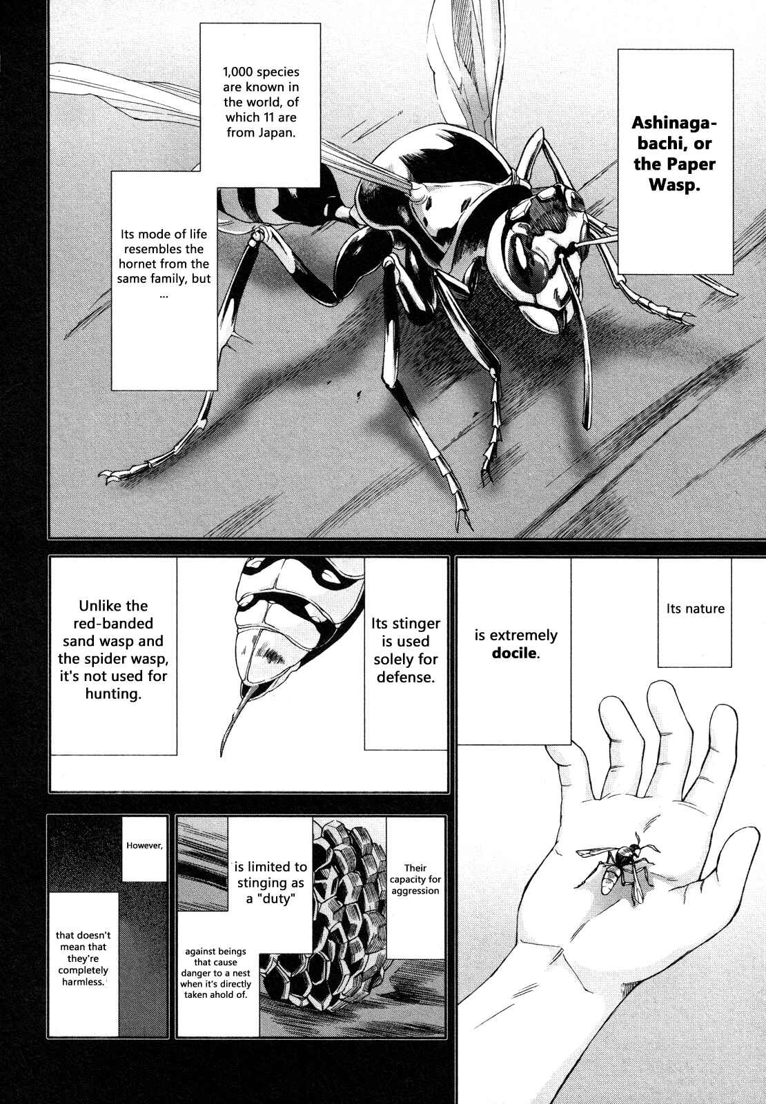 Page 22 Chapter 64 Arachnid