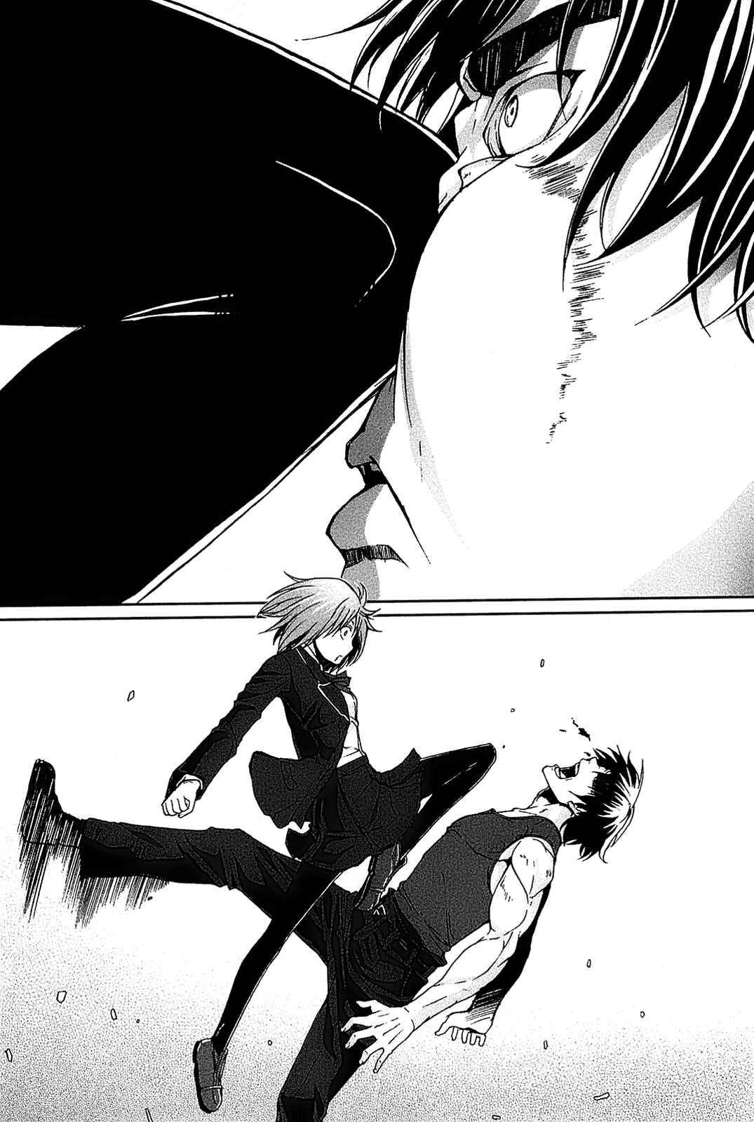 Page 37 Chapter 14 Arachnid