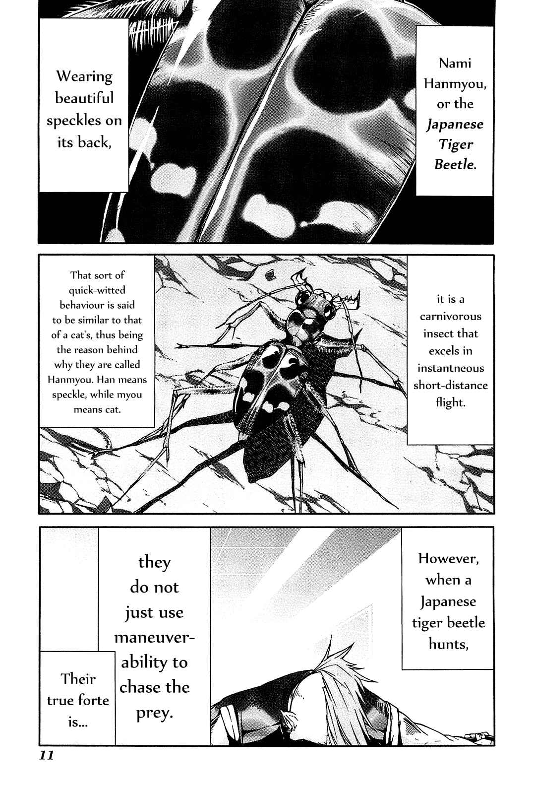 Page 13 Chapter 21 Arachnid