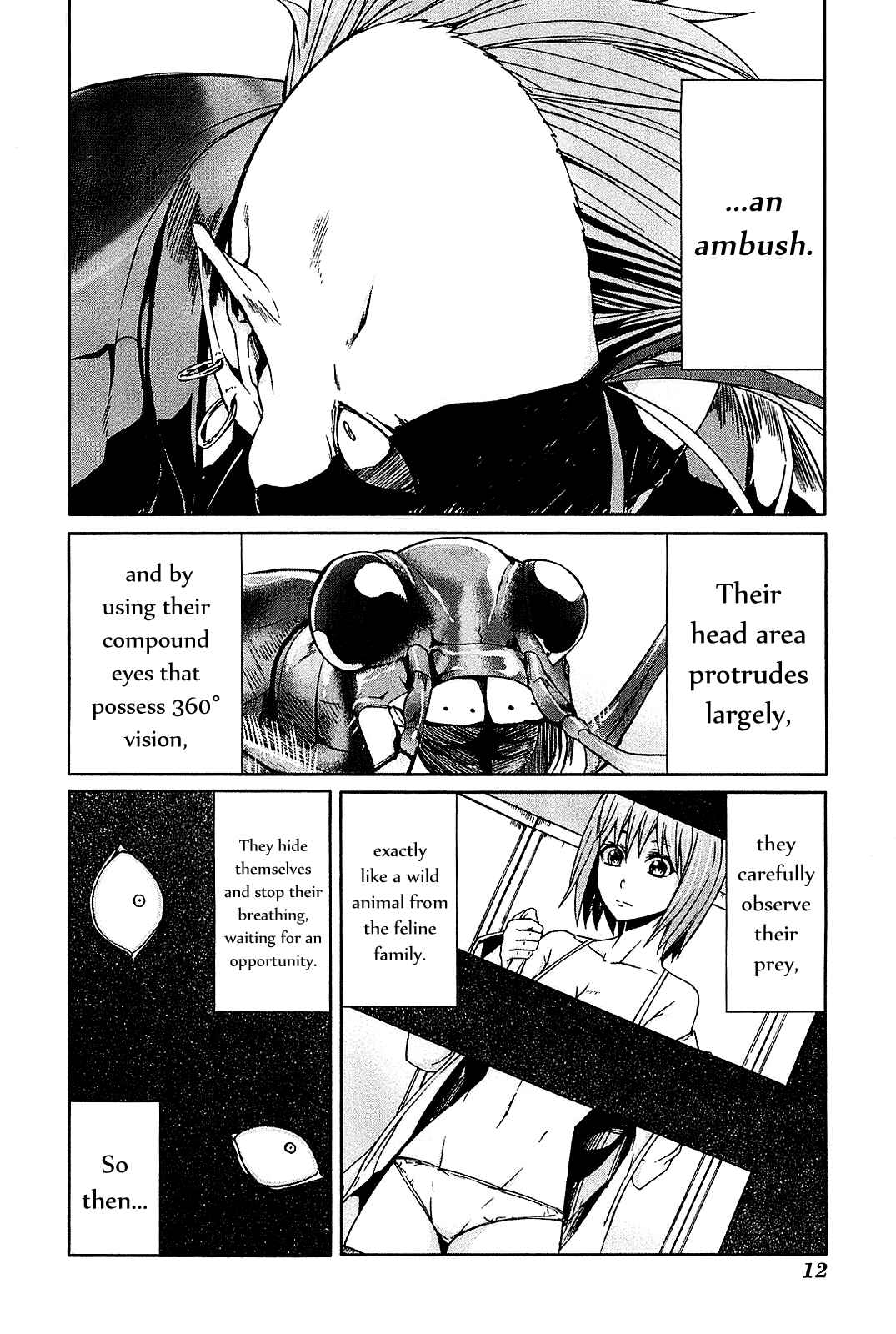 Page 14 Chapter 21 Arachnid