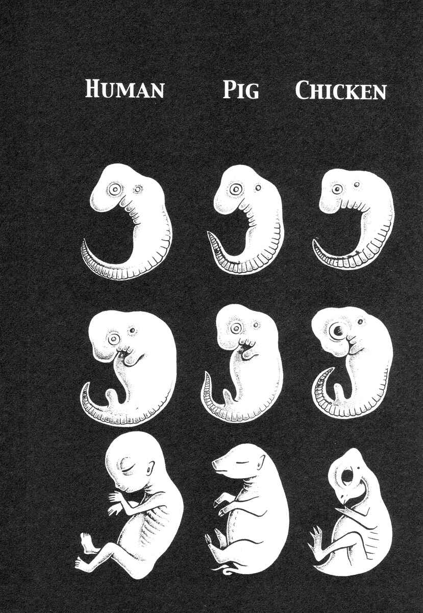Page 14 Chapter 2 Lullabies from Hell