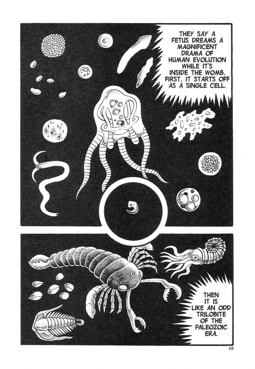 Page 4 Chapter 2 Lullabies from Hell