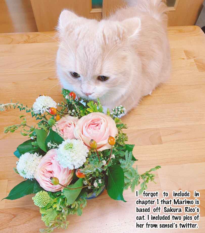 Page 3 Chapter 2.1 Souteigai no Sweet Marriage