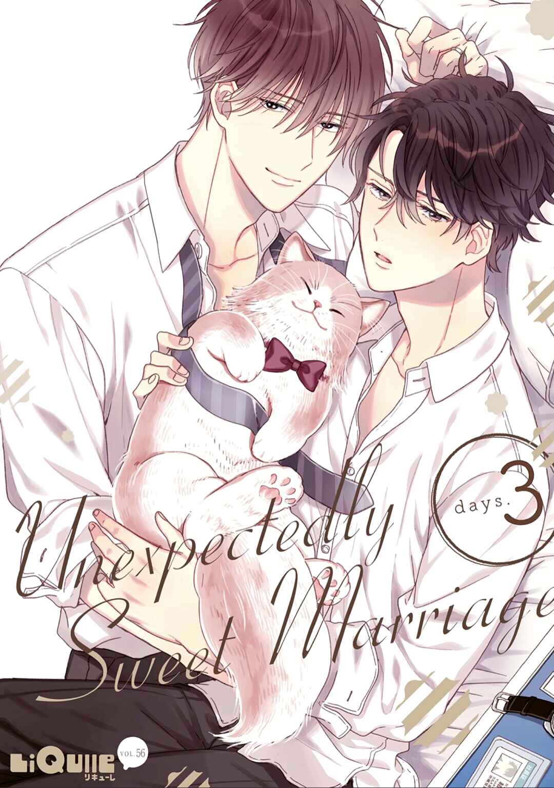 Page 3 Chapter 3 Souteigai no Sweet Marriage