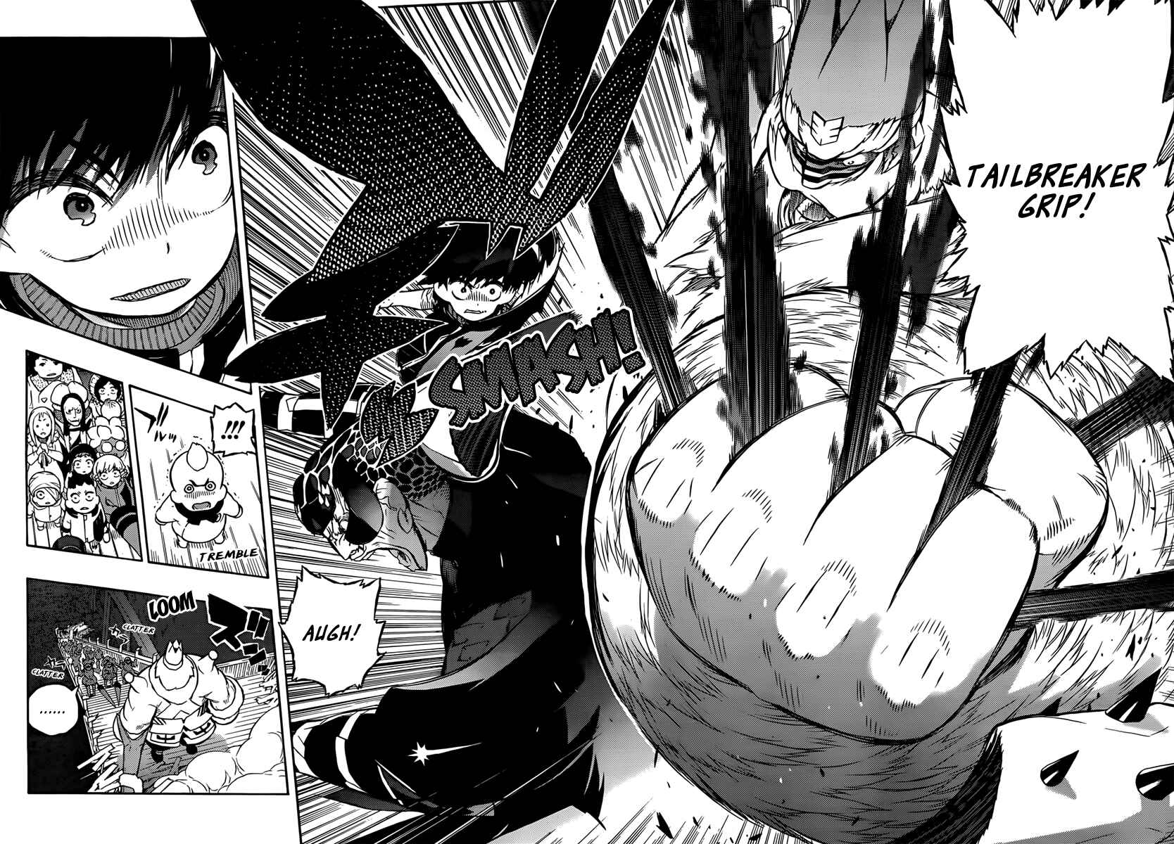 Page 21 Chapter 14 Tail Star