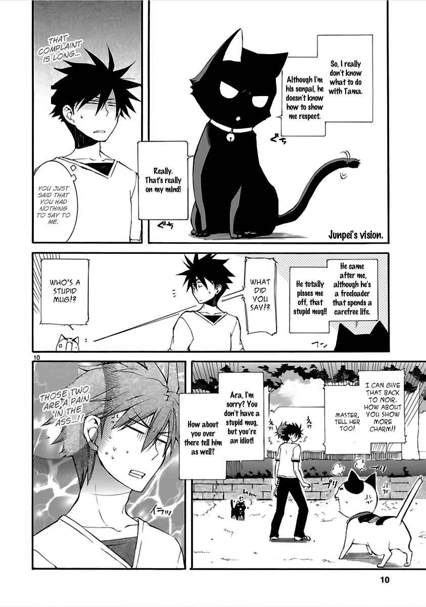 Page 11 Chapter 13 Nyan Koi!