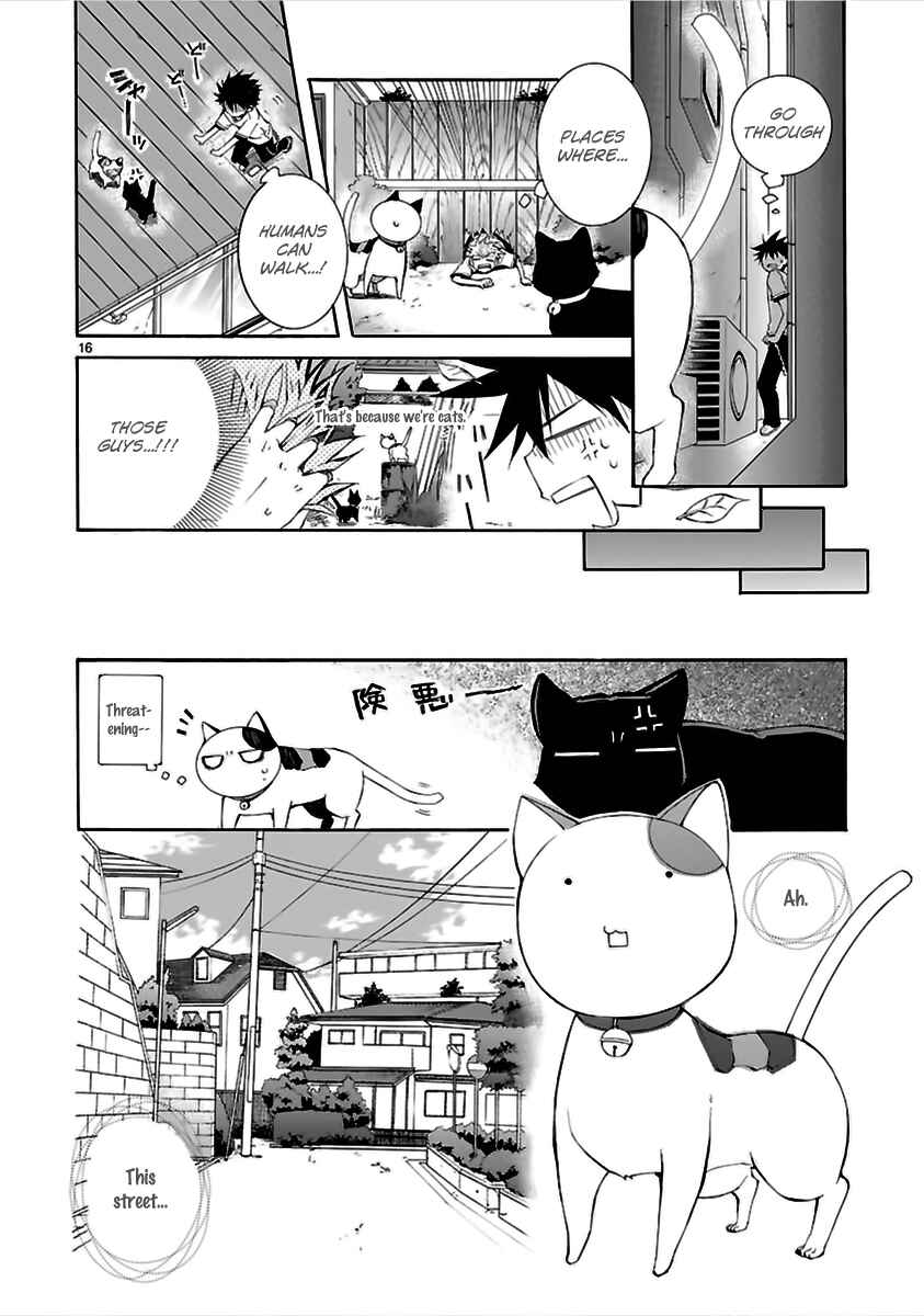 Page 17 Chapter 13 Nyan Koi!