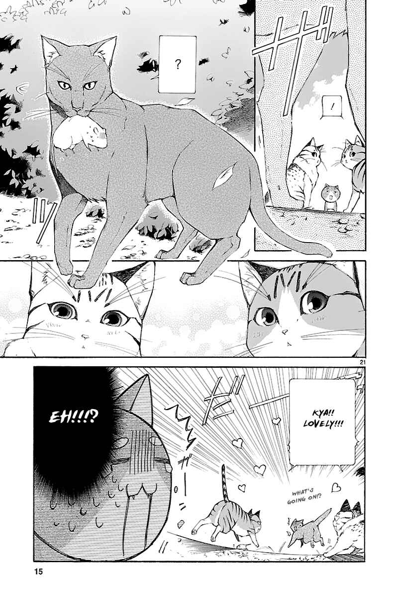 Page 16 Chapter 26.2 Nyan Koi!