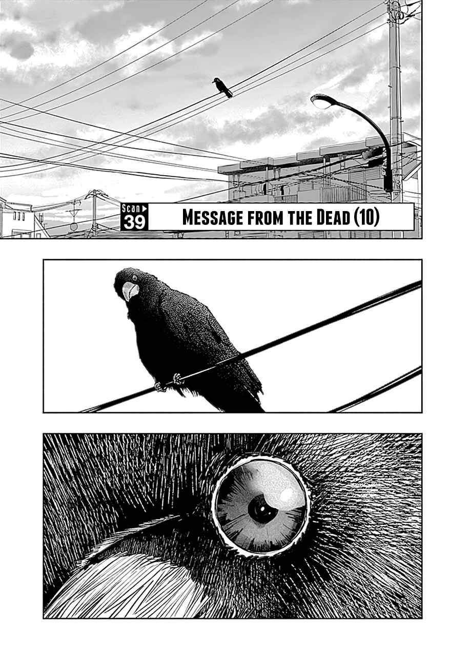 Page 2 Chapter 39 Radiation House