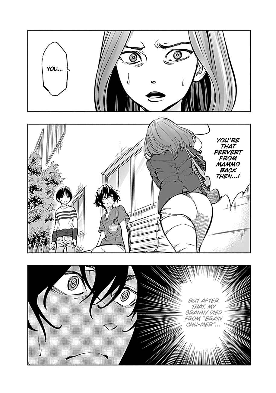 Page 15 Chapter 8 Radiation House
