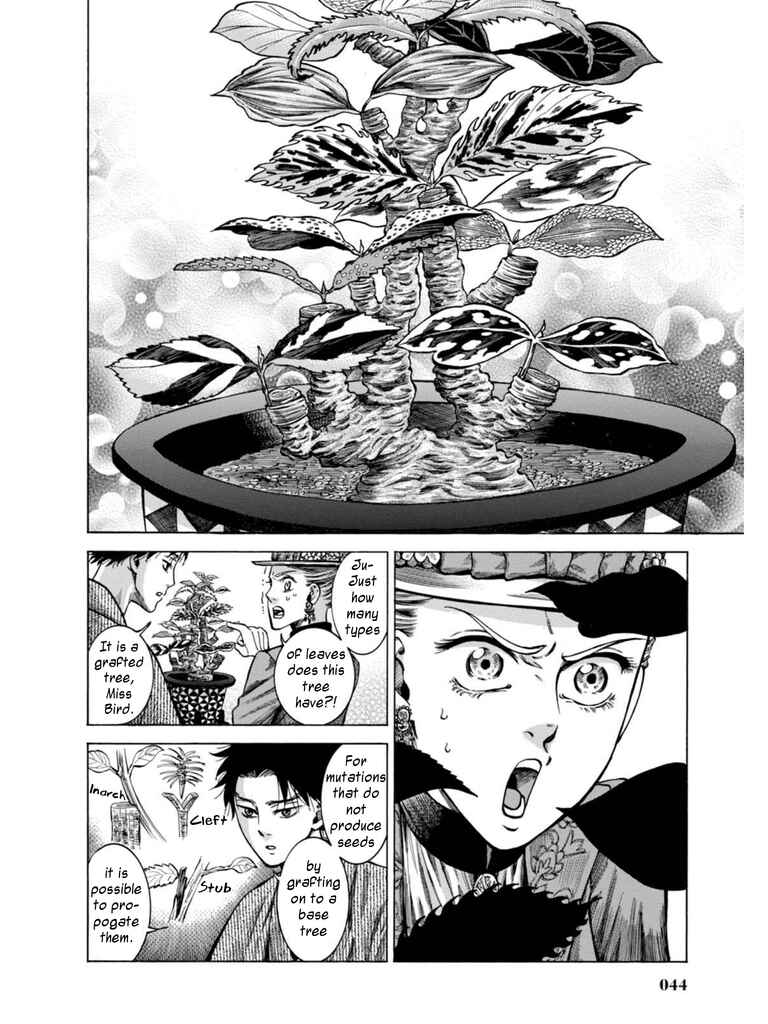 Page 41 Chapter 15 Fushigi no Kuni no Bird