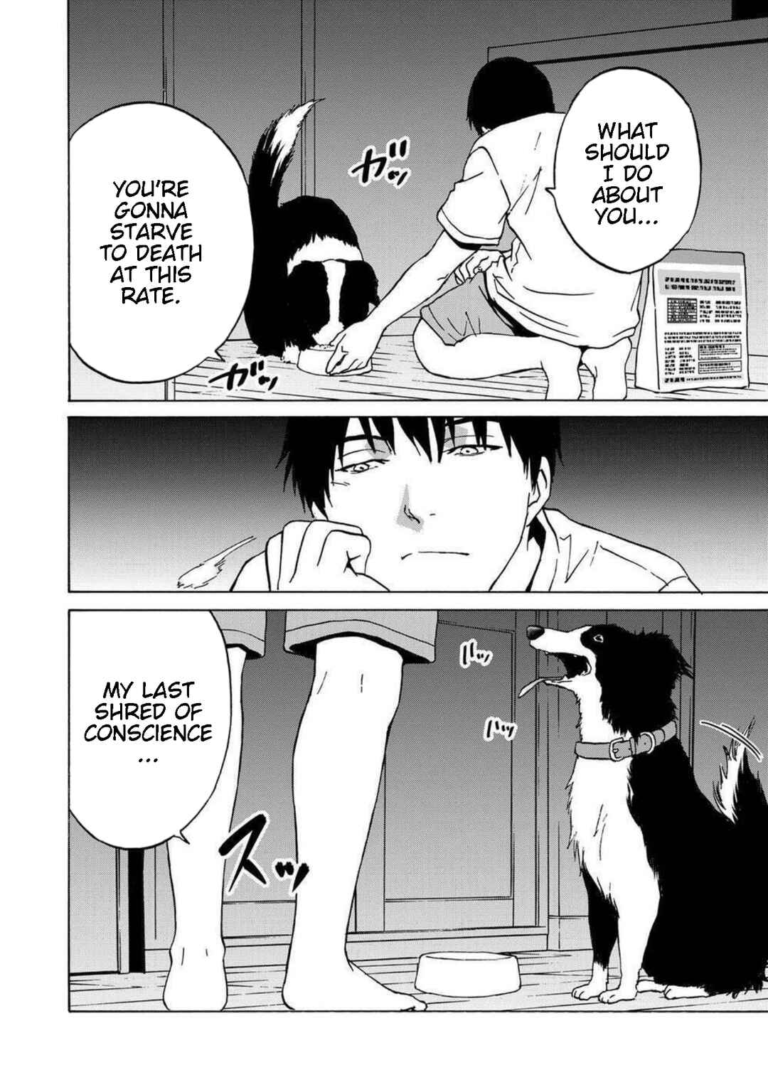 Page 16 Chapter 15 Green Box