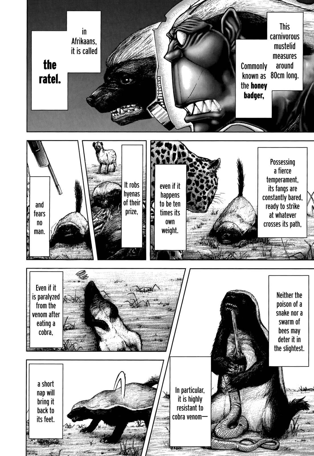 Page 13 Chapter 104 Terra Formars