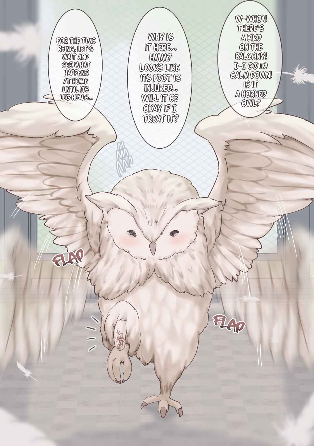 Page 1 Chapter 1 The Story of How The Horned Owl I Rescued Turned Into a Girl
