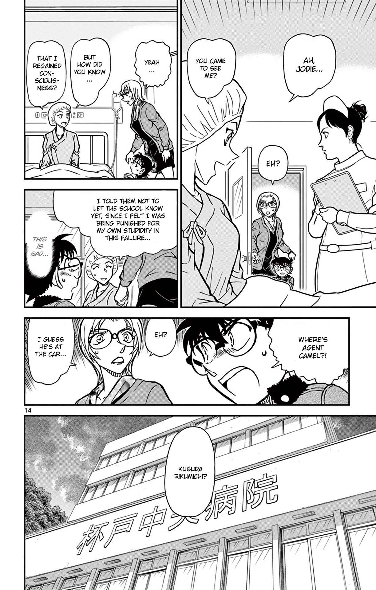 Page 15 Chapter 893 Detective Conan
