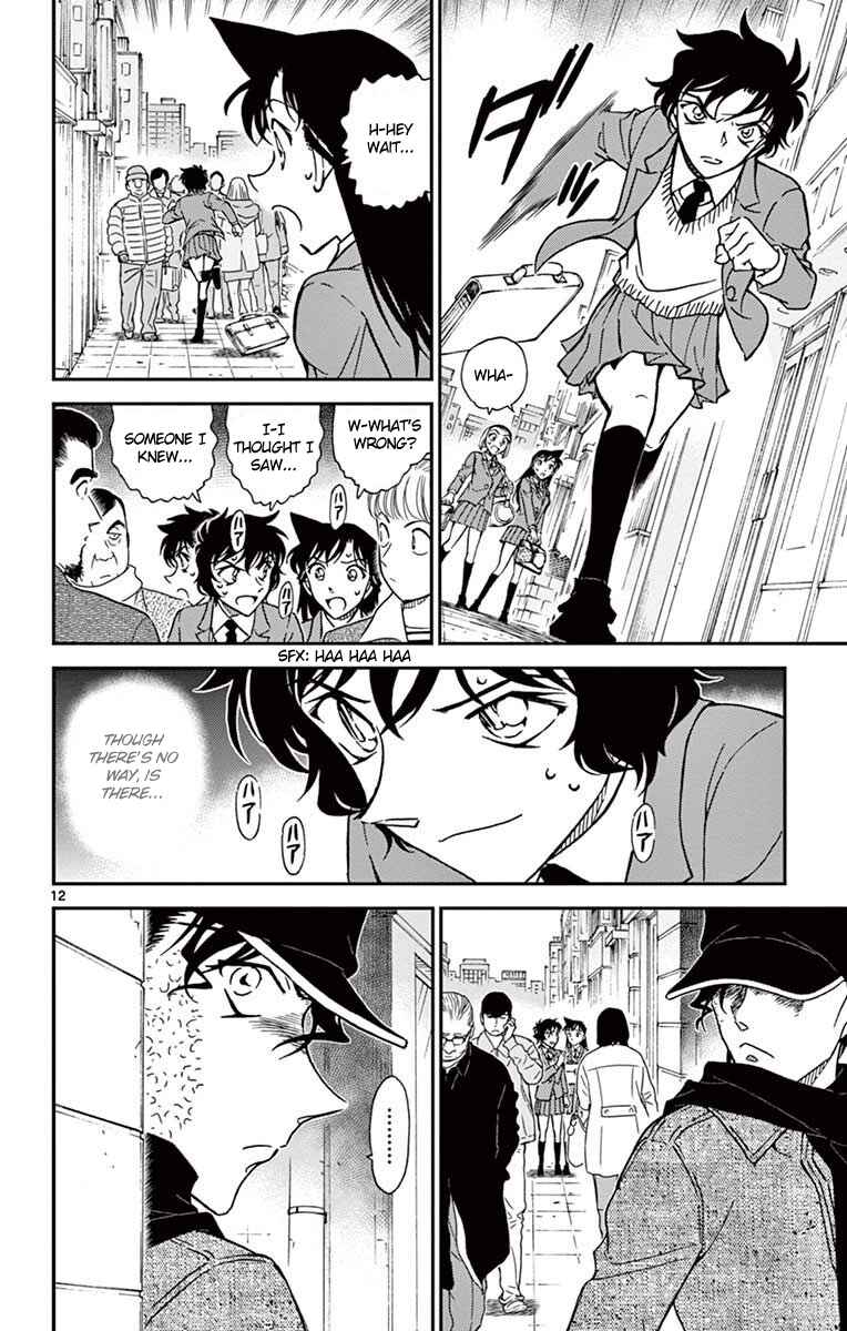 Page 13 Chapter 801 Detective Conan