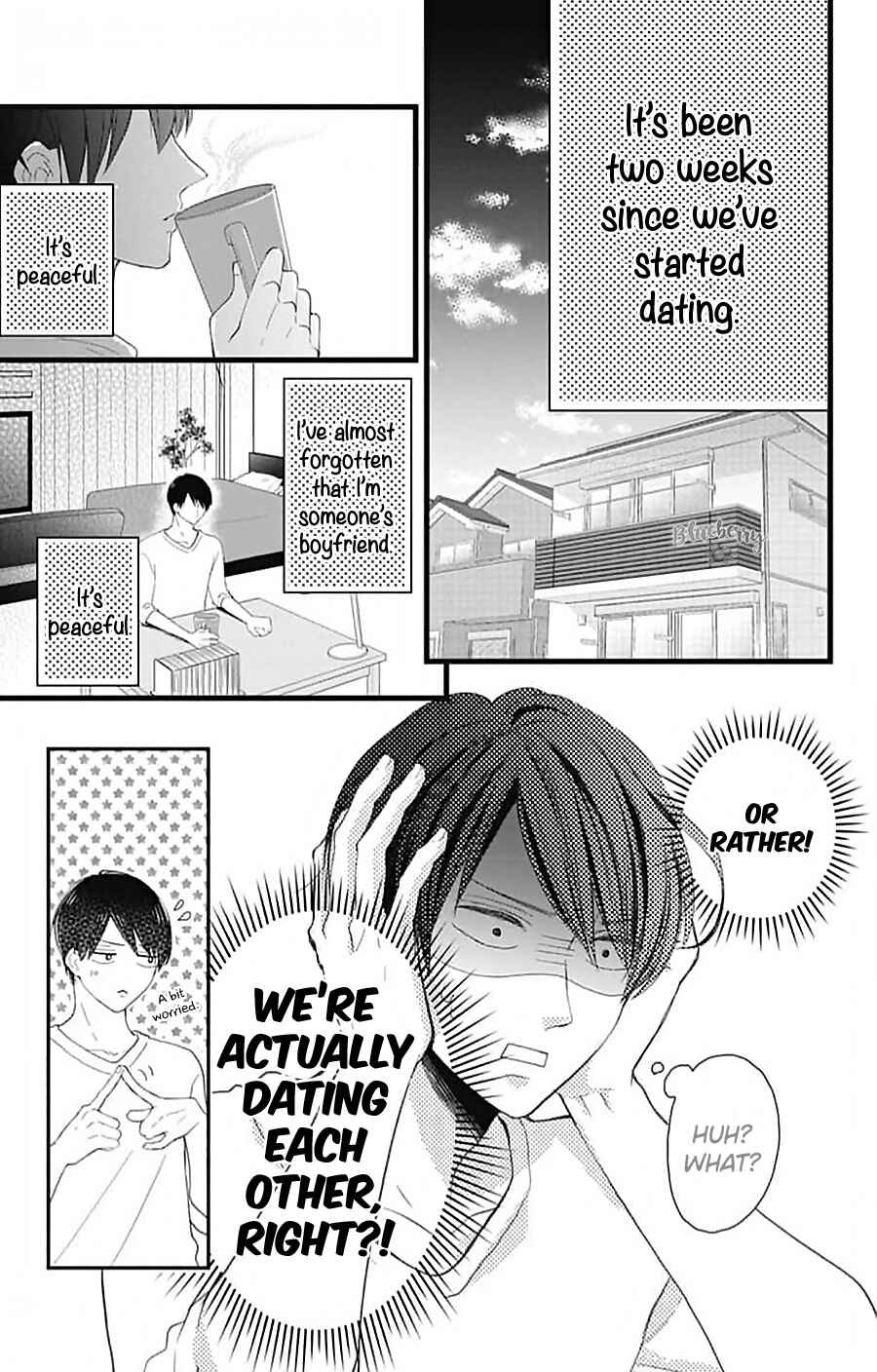 Page 14 Chapter 15 Ani ga Kareshi de, Gomen