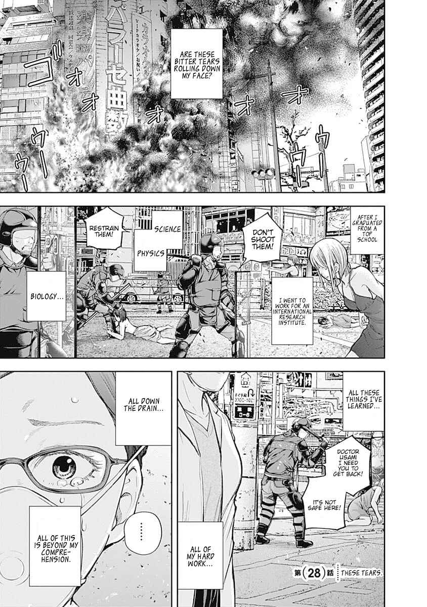 Page 1 Chapter 28 Libidors