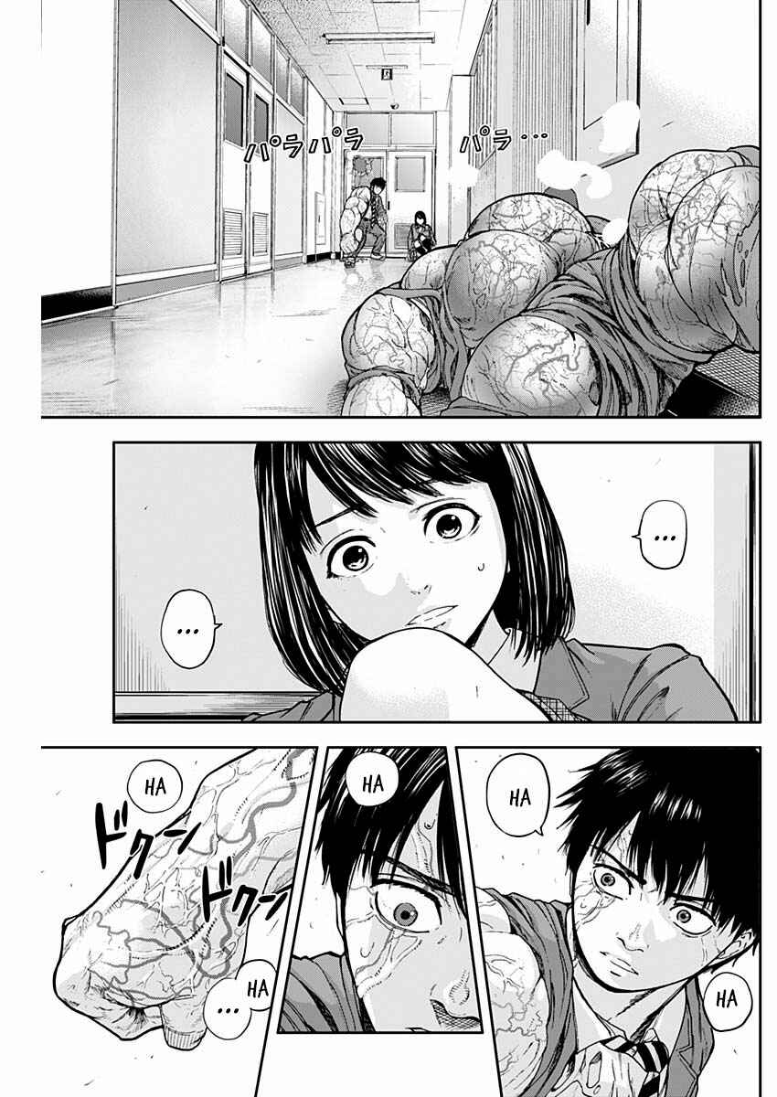 Page 34 Chapter 3 Libidors