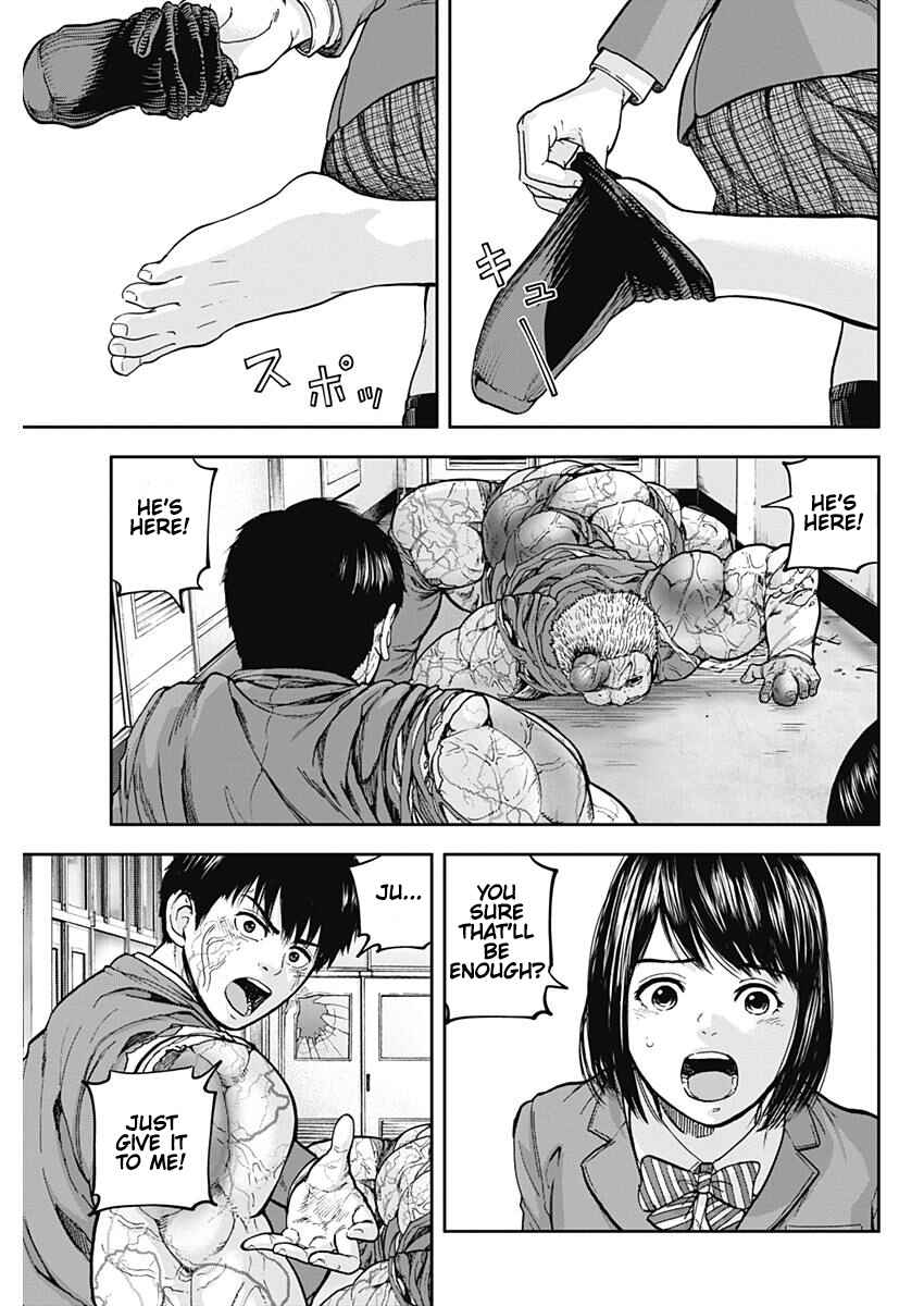 Page 5 Chapter 5 Libidors