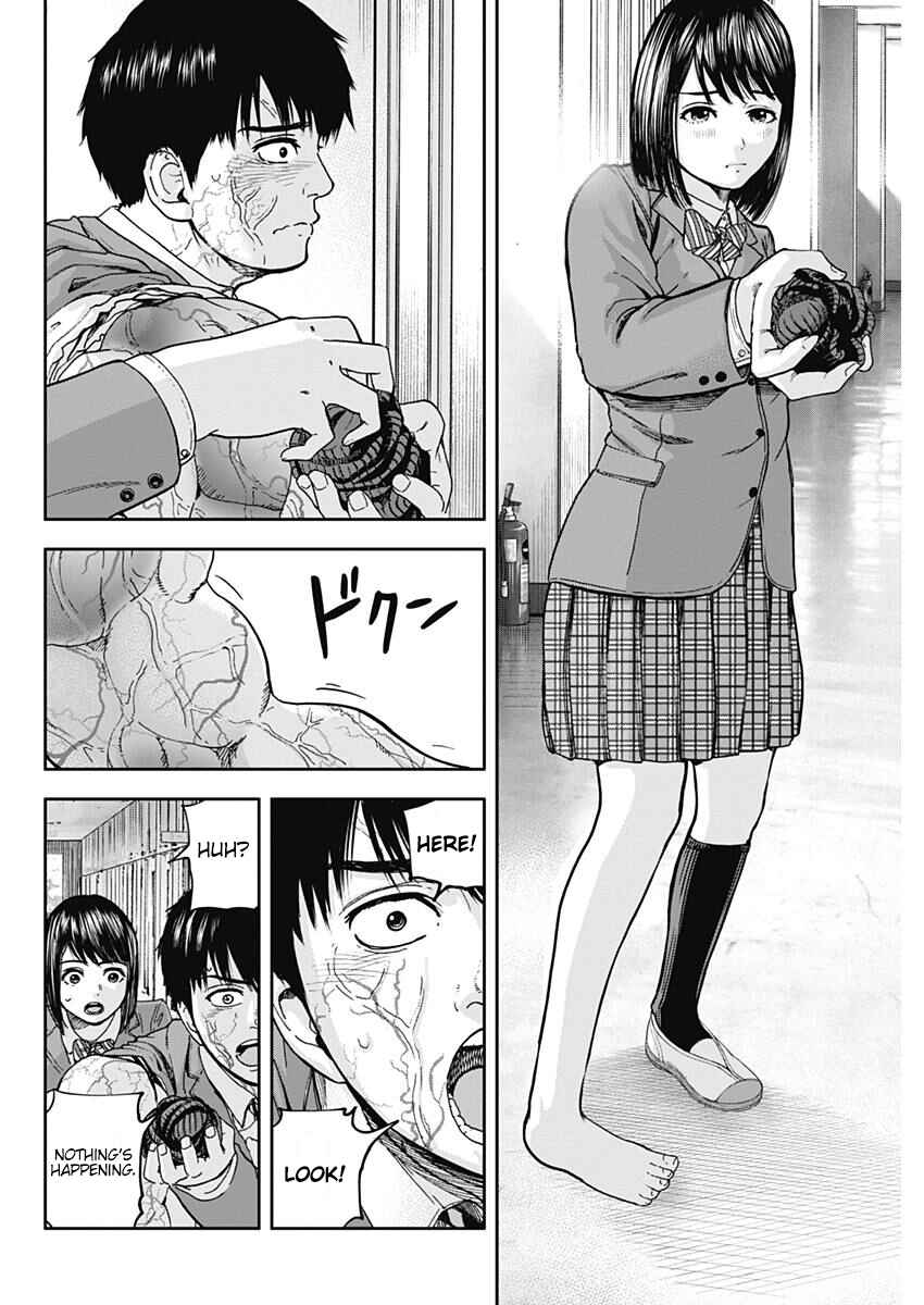 Page 6 Chapter 5 Libidors