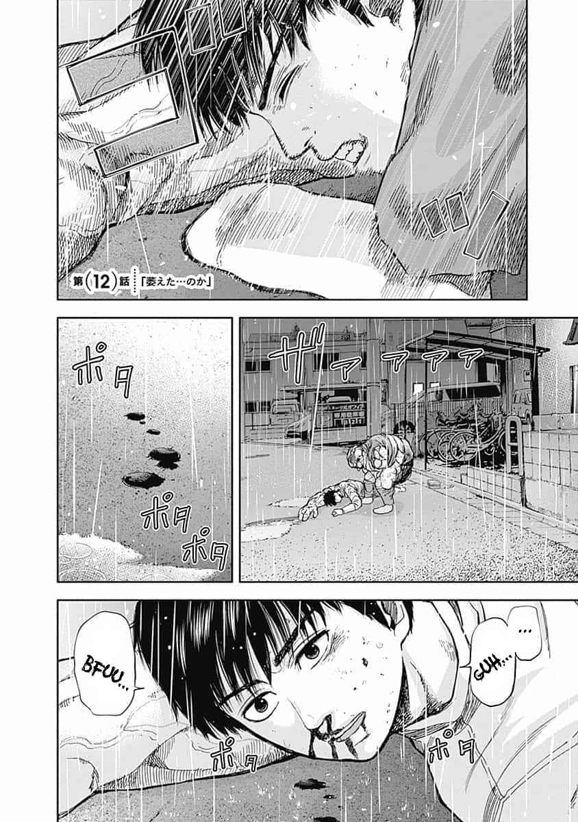 Page 2 Chapter 12 Libidors