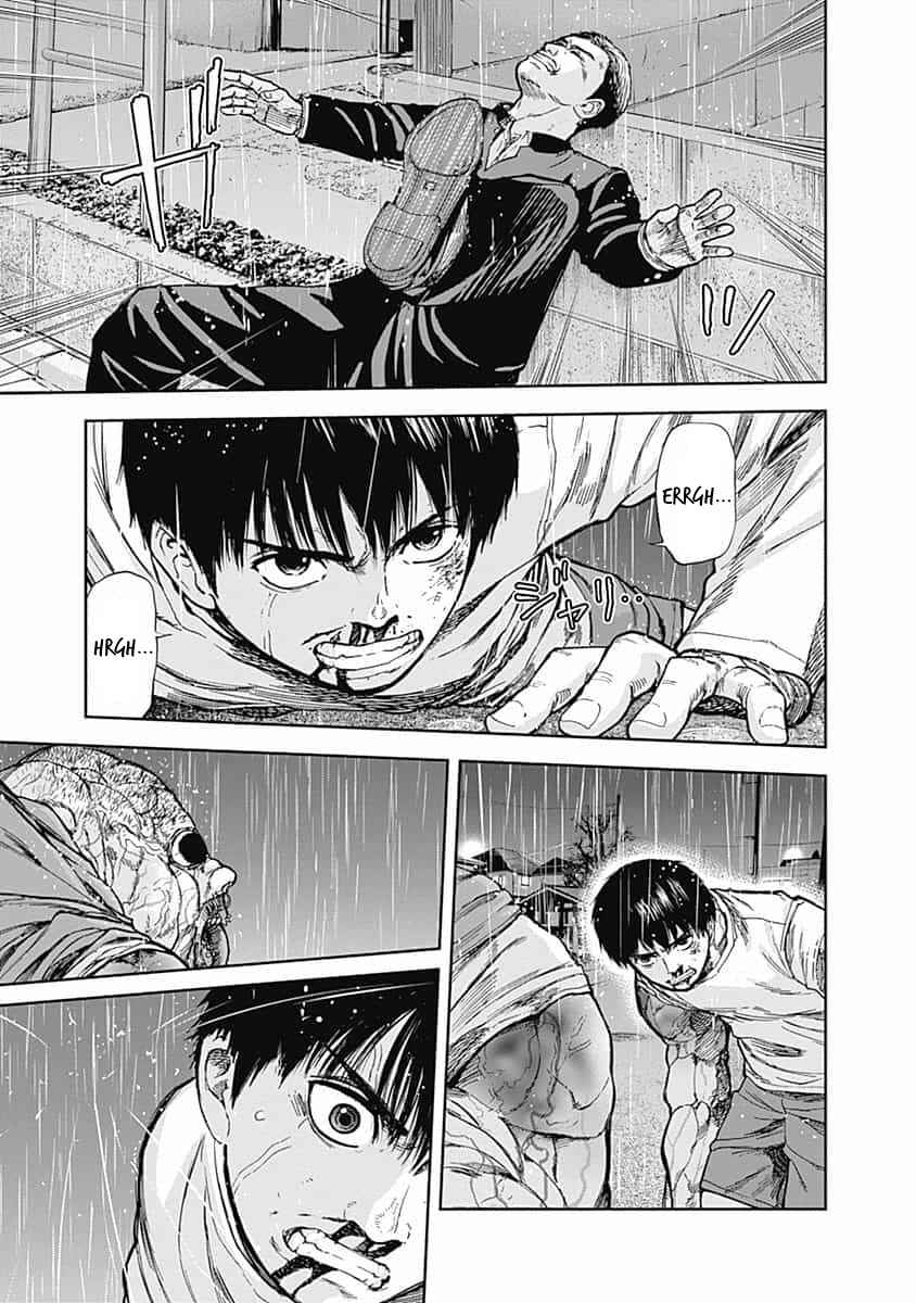 Page 5 Chapter 12 Libidors