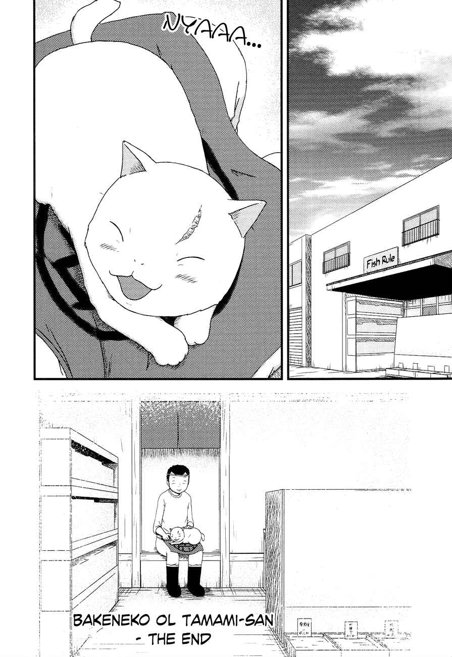 Page 14 Chapter 14 Bakeneko OL Tamami-san