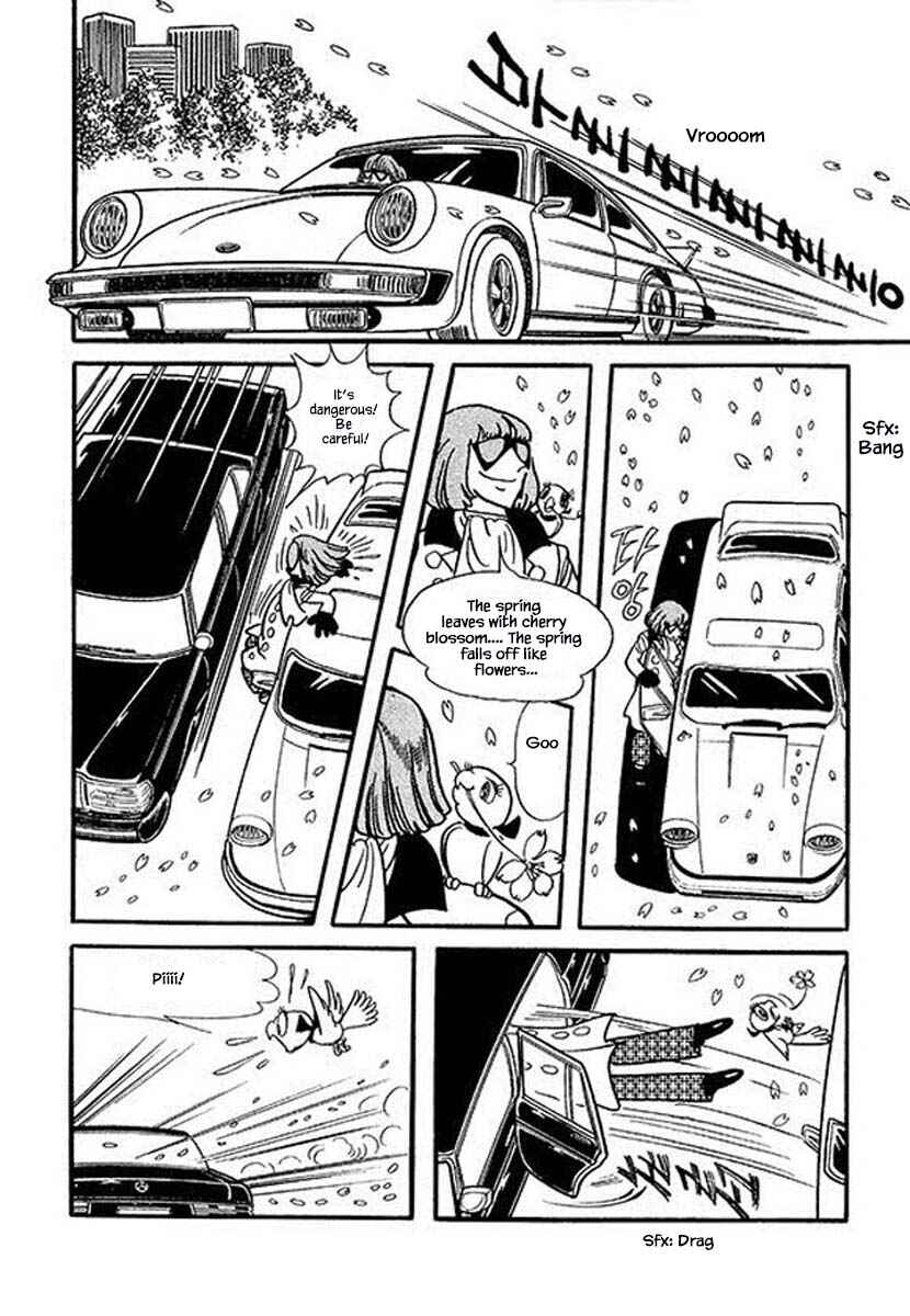 Page 2 Chapter 6.1 Rainbow Parakeet