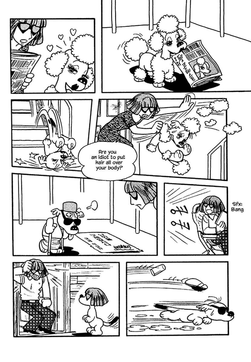 Page 10 Chapter 13 Rainbow Parakeet
