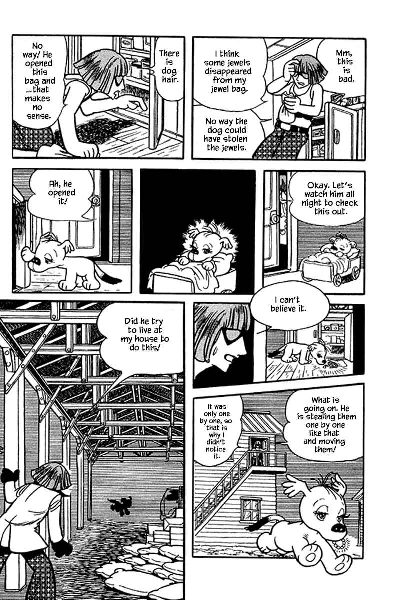 Page 19 Chapter 13 Rainbow Parakeet